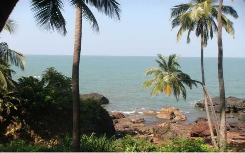 North View From Site