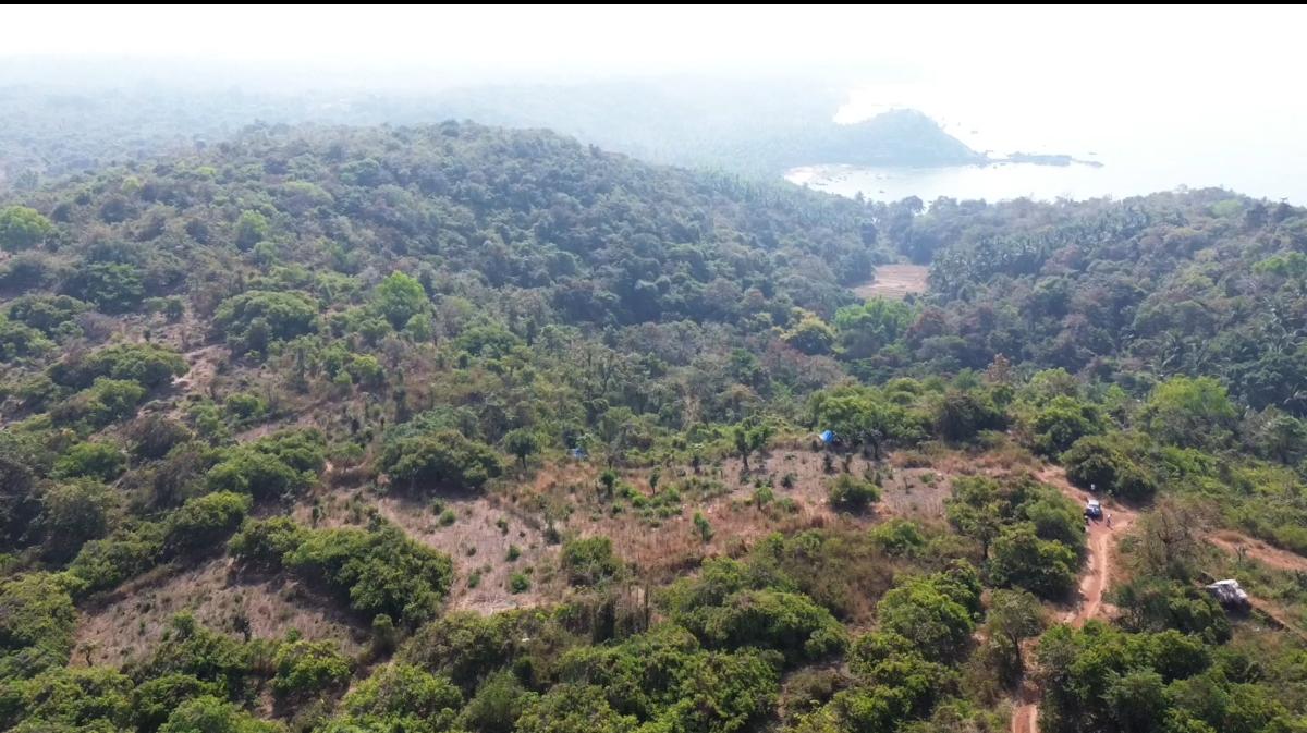 Varca Plot Landscape